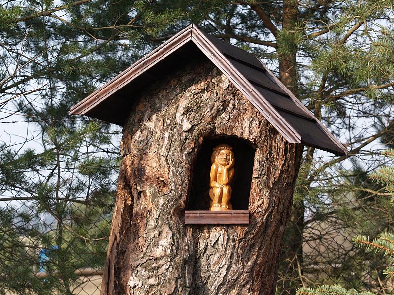 Kliknij aby obejrzeć w pełnym rozmiarze